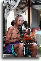 Indonesians