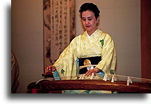 Koto (harfa japońska)::Japonia::