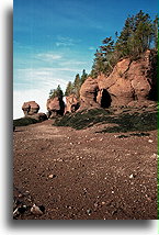 Dno Zatoki Fundy w okolicy Hopewell Rocks::Hopewell Rocks, Nowy Brunszwik, Kanada::