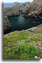 Cape Bonavista::Bonavista, Newfoundland, Canada::