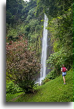 Rainbow Waterfall #2::Viento Fresco, Costa Rica::