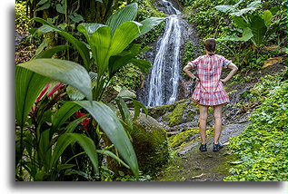 Lokalny wodospad::Takalik Maya Lodge, Gwatemala::